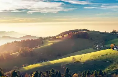 Panoramabild - Schwarzwald